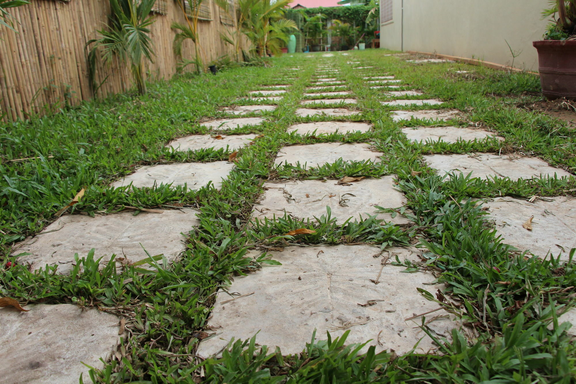 Areca Stay Siem Reap Exteriér fotografie